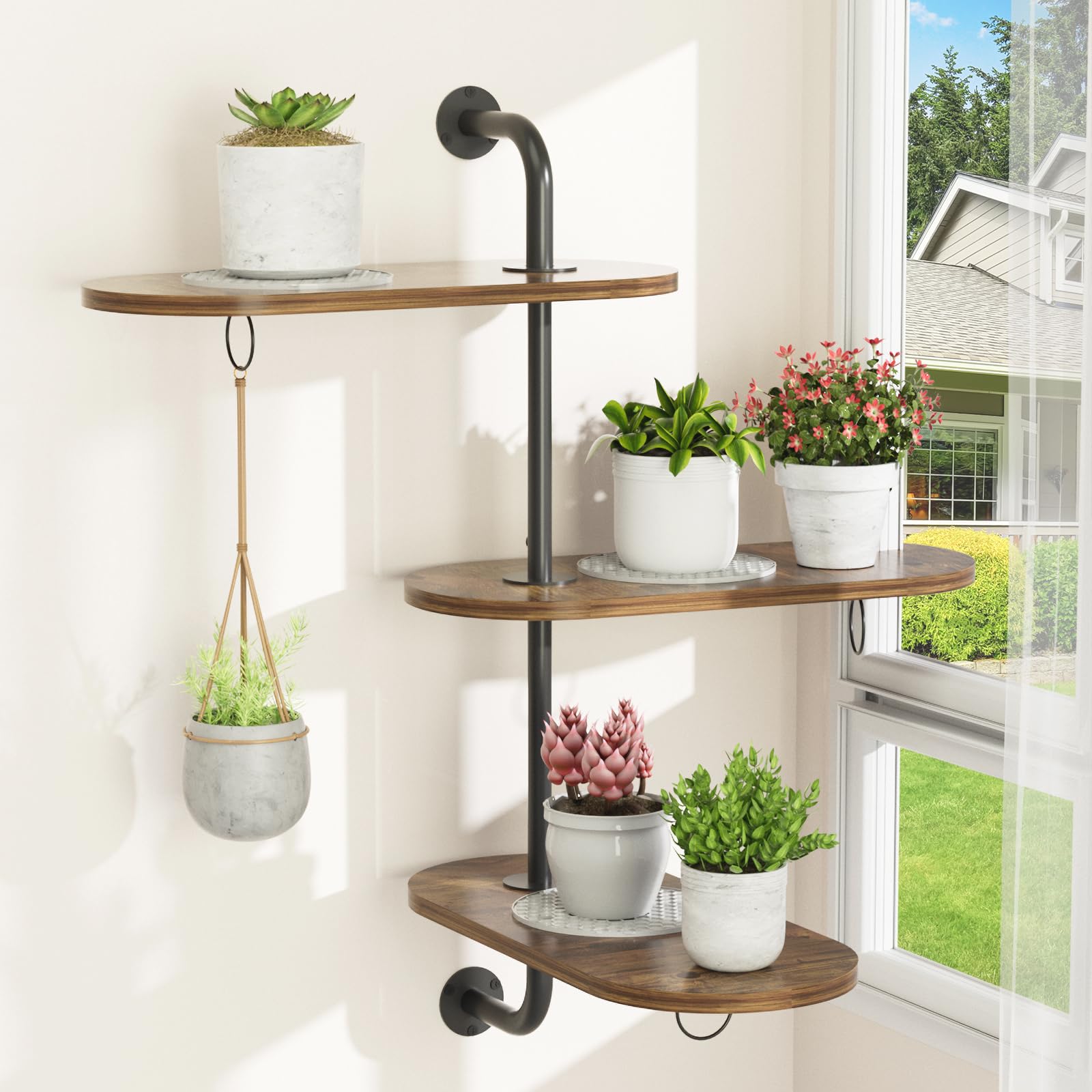 Amazon.com : Rotating Window Plant Shelves with 3 Anti-slip Mats